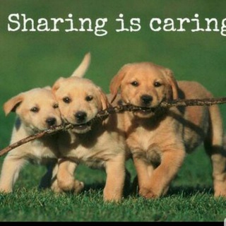Telegram group profile photo for Sharing is Caring DD