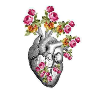 Telegram profile photo for -مُطمئِن🕊،"