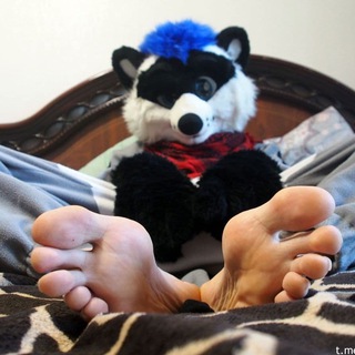 Telegram profile photo for Feetz and Pawz OC