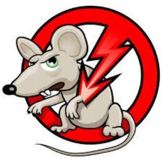 Telegram profile photo for RATAS NETFLIXGRATISEWE