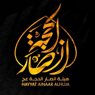 Telegram profile photo for هيئة انصار الحجة(عج) 313