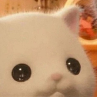 Telegram profile photo for panllet