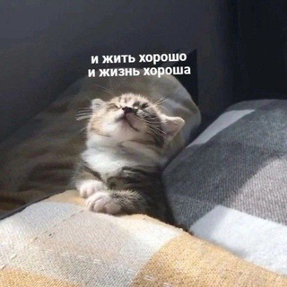 Telegram profile photo for Сонч