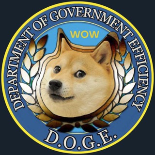 Telegram group profile photo for Department Of Government Efficiency C.T.O