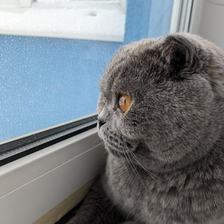 Telegram profile photo for 🤩Лея / в её глазах Космос🪐