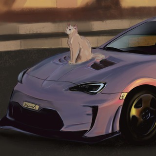 Telegram profile photo for tticonfe