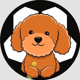 Telegram profile photo for Poodle Football Inu