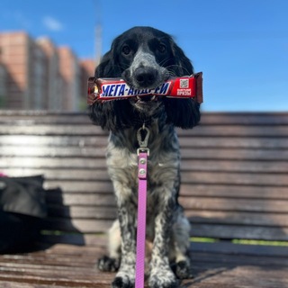 Telegram profile photo for Зависимая Dora