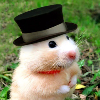 Telegram profile photo for Хомиак Мемы