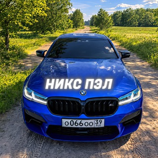 Telegram profile photo for Никс Пэл