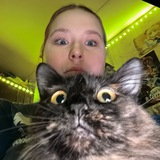 Telegram profile photo for kmr selfphp