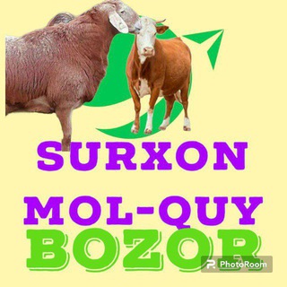 Telegram profile photo for Qumqo'rg'on mol bozori