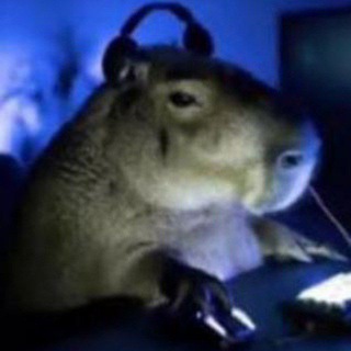 Telegram profile photo for Ludka Hello