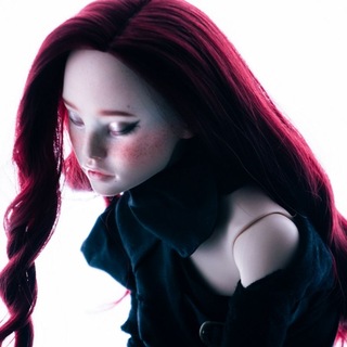 Telegram profile photo for Franz Dolls 🪆 BJD
