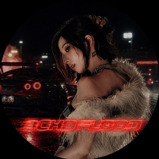 Telegram profile photo for Echo Flood