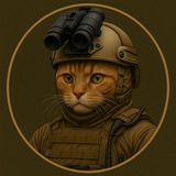 Telegram profile photo for Stern Advice