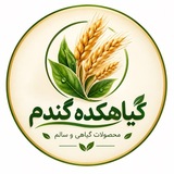 Telegram profile photo for 🌾 گیاهکده گندم 🌾