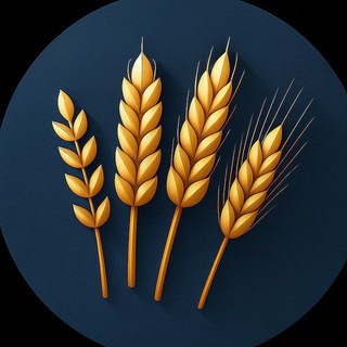 Telegram profile photo for Первая Миля / Зерно