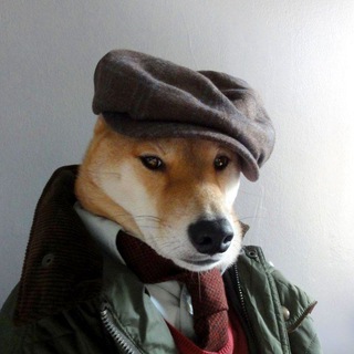 Telegram profile photo for Наши каналы