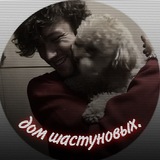 Telegram profile photo for дом шастуновых.
