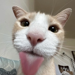 Telegram profile photo for пивной притон данте | Danthy