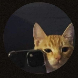 Telegram profile photo for REVIEW MY VINCE GOOD WORK🤙