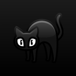 Telegram group profile photo for OTC BASE