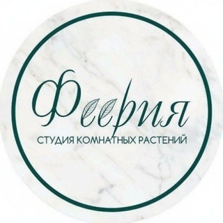 Telegram profile photo for Студия комнатных растений ФЕЕРИЯ