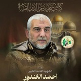 Telegram profile photo for أقمار الشمال