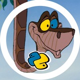 Telegram profile photo for Старый питон 💻🐍