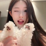 Telegram profile photo for 龙岗 苒苒
