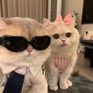 Telegram profile photo for هوای حــوّا 🤍