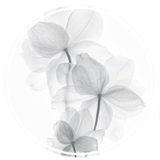 Telegram profile photo for ݂﹫𝗂𝗇𝖿𝗈ˊ˗