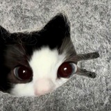 Telegram profile photo for sweet bitter life