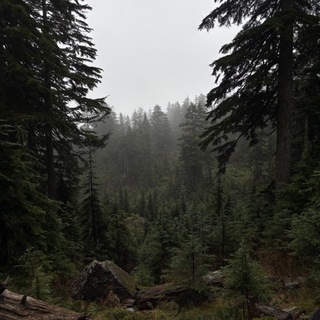 Telegram profile photo for • чайная церемония •