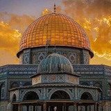 Telegram profile photo for صلاحيات