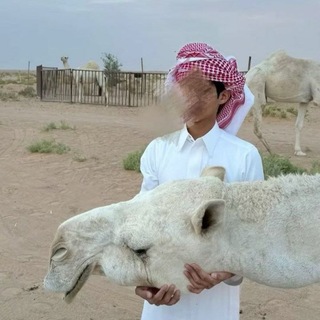 Telegram profile photo for عَٰـُـٰٓذآريَٰـُـٰٓبَٰ ⤙⏎ ١7