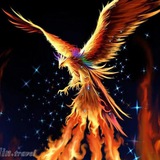Telegram profile photo for ققنوسِ برخاسته از خاکستر