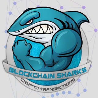 Telegram profile photo for Blockchain Checker