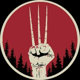 Telegram profile photo for Logan #DeFi Channel