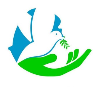 Telegram profile photo for Nous - Travel