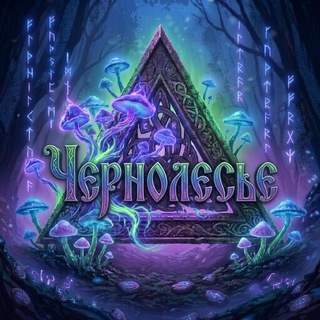 Telegram profile photo for Чернолесье 2026