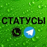 Telegram profile photo for Статусы для ватсап Ислам сторизы 30 секунд телеграмм инстаграм whatsapp уатсап истории короткие видео нарезки ин ща Аллах урок