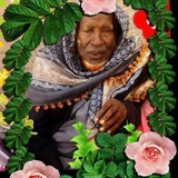 Telegram profile photo for Darsii Sheekh Aliyyii caatee Channel