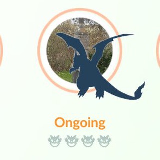 Telegram group profile photo for Raids Bonn Sichtungen