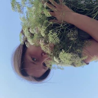 Telegram profile photo for Цветы в травах