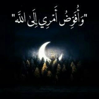 Telegram profile photo for مشــ📖ــ✗ـاعࢪ مبعثـ🎗ـــــࢪه🖤✨