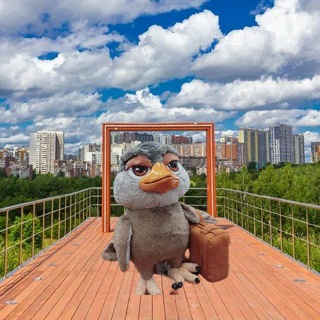 Telegram profile photo for Mitino.daily