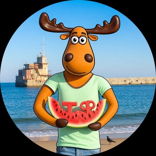 Telegram profile photo for ТИПИЧНАЯ ФЕОДОСИЯ