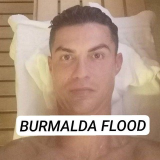 Telegram profile photo for Burmalda info